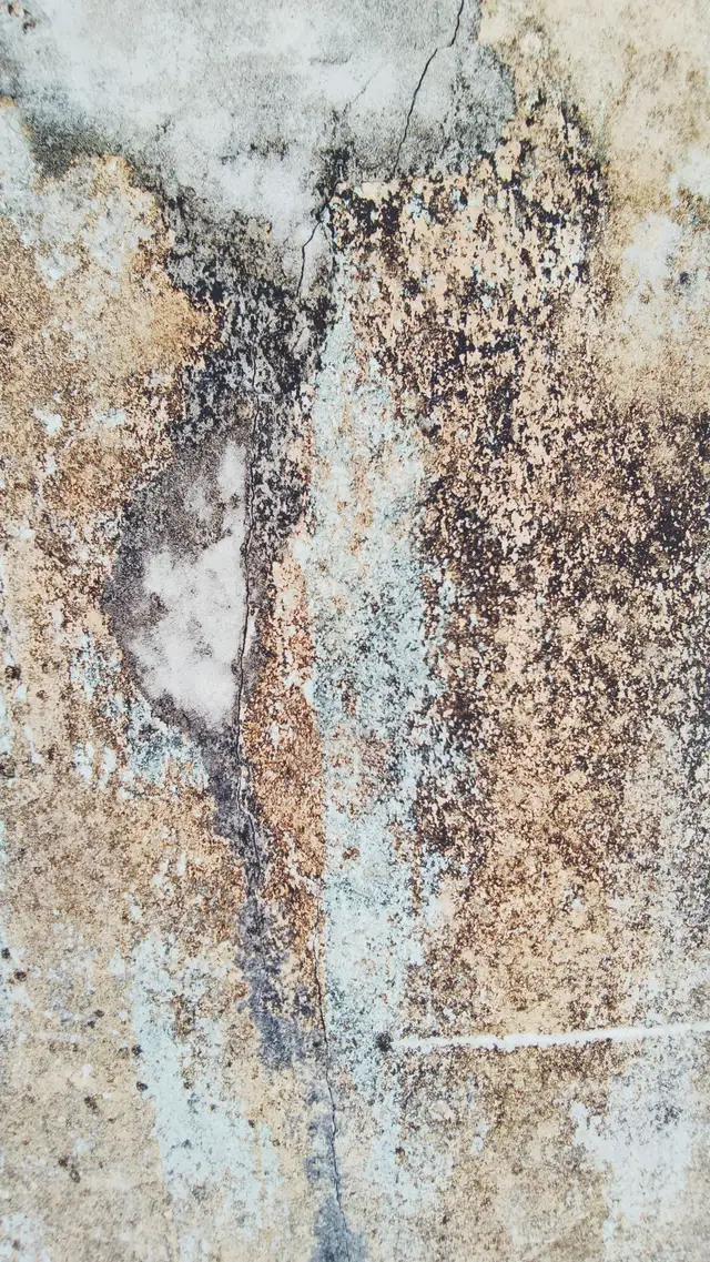 Damp treatment in Málaga — RAD