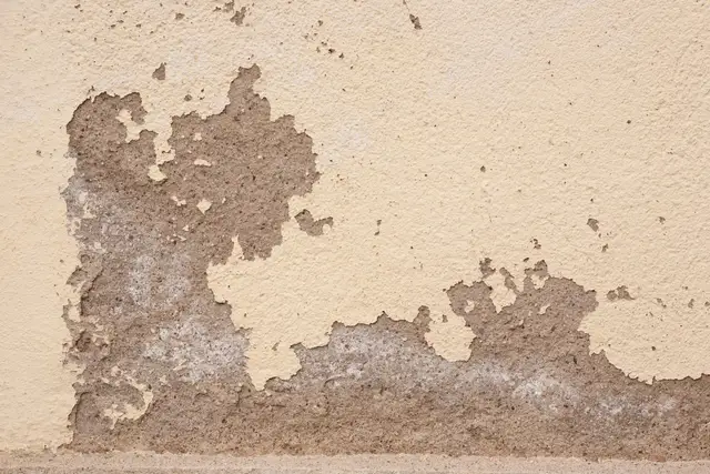 Damp treatment — Photo 4