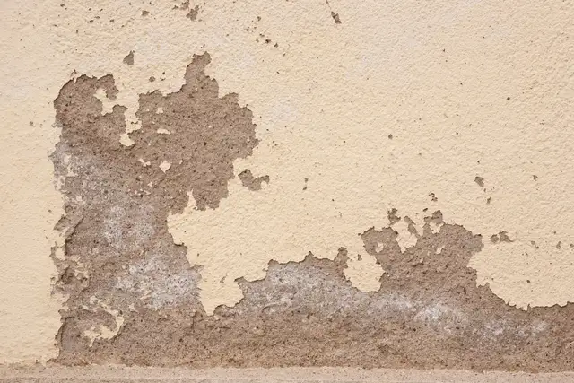 Damp treatment in Málaga — RAD